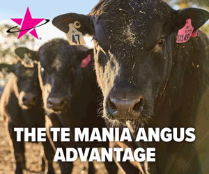 2132-TM-Angus-Australia-MREC-300x250px