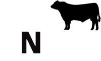 Asset 25_Angus Logo