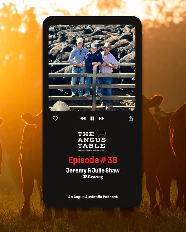 Insta Episode Live 12 Aug