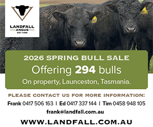Landfall-Spring-2026-Angus-Australia-MREC