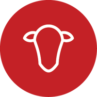 The Angus Weekly 2026 Red V3 8